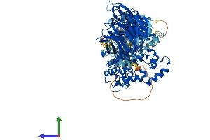 Protein Structure (PS) image for Neutral Sphingomyelinase (N-SMase) Activation Associated Factor (NSMAF) (AA 1-917) protein (His tag) (ABIN7553927)