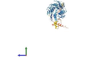 AlphaFold protein structure predicition of Human Recombinant ZNF492 Protein, UniprotID Q9P255