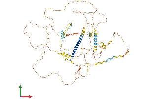 AlphaFold protein structure predicition of Mouse Recombinant Crtc1 Protein, UniprotID Q68ED7 (CRTC1 Protein (AA 1-630) (His tag))