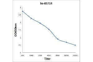 Antigen: 0. (H2AFX antibody  (ubLys119))