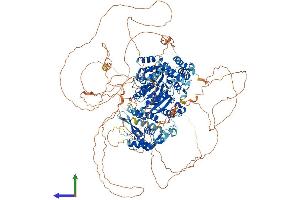 AlphaFold protein structure predicition of Human Recombinant BLM Protein, UniprotID P54132 (BLM Protein (AA 1-1417) (His tag))