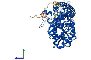 Protein Structure (PS) image for Sep (O-phosphoserine) tRNA:Sec (Selenocysteine) tRNA Synthase (SEPSECS) (AA 1-501) protein (His tag) (ABIN7546407)