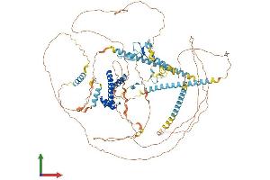 Protein Structure (PS) image for TAF3 RNA Polymerase II, TATA Box Binding Protein (TBP)-Associated Factor, 140kDa (TAF3) (AA 1-932) protein (His tag) (ABIN7563819)