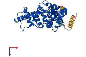 Protein Structure (PS) image for TBC1 Domain Family, Member 7 (TBC1D7) (AA 1-293) protein (His tag) (ABIN7544195)