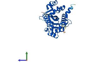 AlphaFold protein structure predicition of Human Recombinant NMNAT1 Protein, UniprotID Q9HAN9 (NMNAT1 Protein (AA 1-279) (His tag))