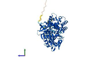 AlphaFold protein structure predicition of Mouse Recombinant Cyp7b1 Protein, UniprotID Q60991 (CYP7B1 Protein (AA 1-507) (His tag))
