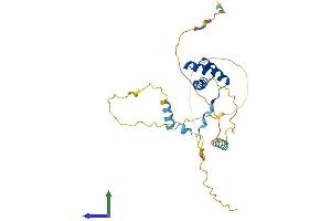 Protein Structure (PS) image for BARX Homeobox 2 (BARX2) (AA 1-279) protein (His tag) (ABIN7552526)