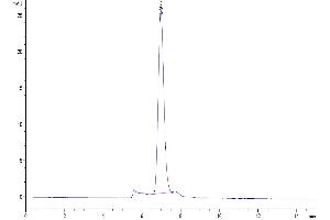 The purity of Cynomolgus LDLR is greater than 95 % as determined by SEC-HPLC. (LDLR Protein (AA 22-788) (His tag))