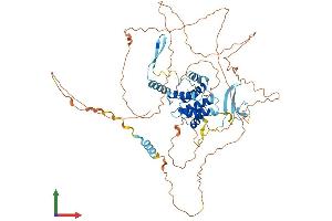 AlphaFold protein structure predicition of Human Recombinant CABLES1 Protein, UniprotID Q8TDN4 (CABLES1 Protein (AA 1-633) (His tag))