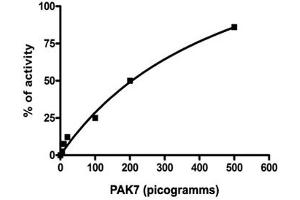 Analysis of enzymatic activity was performed according to the Zlyte assay protocol (Invitrogen): 1. (PAK7 Protein (AA 425-719))