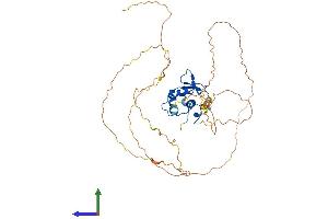 AlphaFold protein structure predicition of Mouse Recombinant Elk3 Protein, UniprotID P41971 (ELK3 Protein (AA 1-409) (His tag))