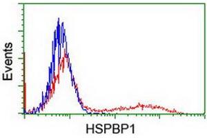 Flow Cytometry (FACS) image for anti-HSPA Binding Protein, Cytoplasmic Cochaperone 1 (HSPBP1) antibody (ABIN1498760)