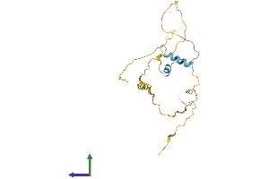 AlphaFold protein structure predicition of Human Recombinant SPATA25 Protein, UniprotID Q9BR10 (SPATA25 Protein (AA 1-227) (His tag))