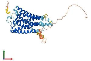 AlphaFold protein structure predicition of Mouse Recombinant Opn5 Protein, UniprotID Q6VZZ7 (OPN5 Protein (AA 1-377) (His tag))