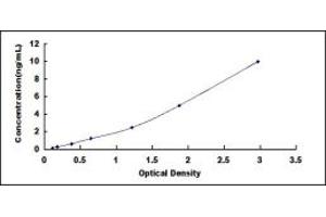 Typical standard curve (GABARAPL2 ELISA Kit)