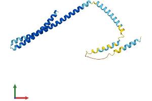 AlphaFold protein structure predicition of Mouse Recombinant Chmp1b2 Protein, UniprotID Q9CQD4 (Chmp1b2 Protein (AA 1-199) (His tag))