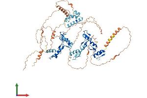 AlphaFold protein structure predicition of Human Recombinant ZNF510 Protein, UniprotID Q9Y2H8