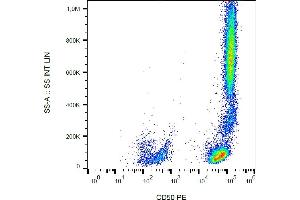 Flow cytometry analysis (surface staining) of human peripheral blood with anti-CD50 (MEM-171) PE.