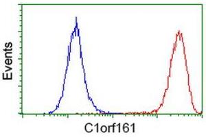 Flow cytometric Analysis of Hela cells, using anti-C1orf161 antibody (ABIN2454453), (Red), compared to a nonspecific negative control antibody, (Blue).