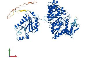 AlphaFold protein structure predicition of Human Recombinant PAPSS1 Protein, UniprotID O43252