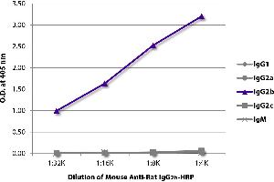 ELISA plate was coated with purified rat IgG1, IgG2a, IgG2b, IgG2c, and IgM. (Mouse anti-Rat IgG2b Antibody (HRP))