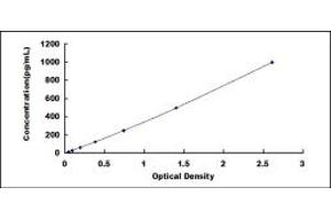 Typical standard curve (IL-24 ELISA Kit)