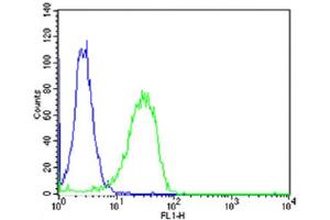 Flow cytometric analysis of Hela cells using MTTP Antibody (C-term)(green, Cat(ABIN6242904 and ABIN6577849)) compared to an isotype control of rabbit IgG(blue). (MTTP antibody  (C-Term))