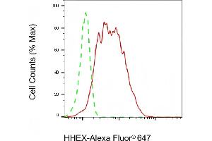 Flow cytometric analysis of HHEX expression in HepG2 cells using HHEX antibody (ABIN7798883), 1:2,000). (HHEX antibody)