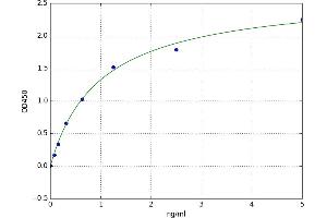 Undercarboxylated Osteocalcin (UCOC) ELISA Kit