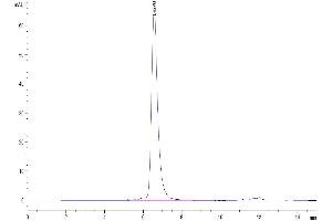 Size-exclusion chromatography-High Pressure Liquid Chromatography (SEC-HPLC) image for delta-Like 4 (DLL4) (AA 27-524) protein (Fc Tag) (ABIN7274485)