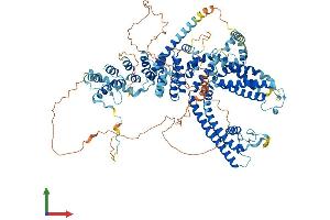AlphaFold protein structure predicition of Human Recombinant TRPC5 Protein, UniprotID Q9UL62
