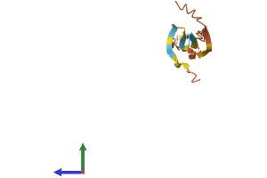 AlphaFold protein structure predicition of Human Recombinant BVES-AS1 Protein, UniprotID Q5T3Y7 (C6orf112 Protein (AA 1-98) (His tag))