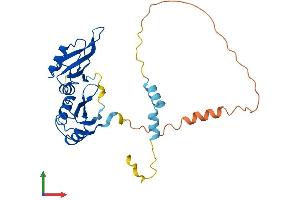Protein Structure (PS) image for tRNA Selenocysteine 1 Associated Protein 1 (TRNAU1AP) (AA 1-287) protein (His tag) (ABIN7544750)