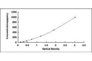 Typical standard curve