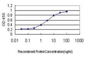 ELISA image for anti-Minichromosome Maintenance Complex Component 7 (MCM7) (AA 1-389) antibody (ABIN561764)