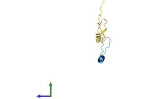AlphaFold protein structure predicition of Human Recombinant C19orf53 Protein, UniprotID Q9UNZ5