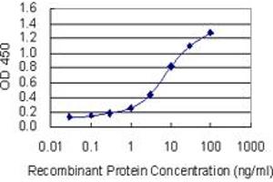 Detection limit for recombinant GST tagged HSPA6 is 0. (HSPA6 antibody  (AA 544-643))
