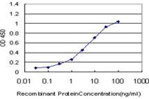 Detection limit for recombinant GST tagged HMGB2 is approximately 0. (HMGB2 antibody  (AA 1-195))