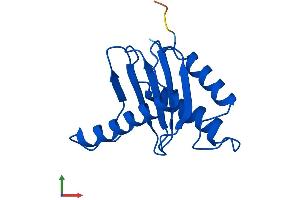 Protein Structure (PS) image for Trafficking Protein Particle Complex 1 (TRAPPC1) (AA 1-145) protein (His tag) (ABIN7544619)