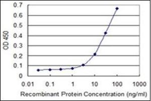 ELISA image for anti-Phosphorylase, Glycogen, Muscle (PYGM) antibody (ABIN952549) (PYGM antibody)