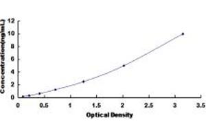 Typical standard curve (HS2ST1 ELISA Kit)