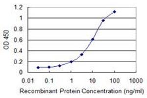 Detection limit for recombinant GST tagged CNKSR3 is 0. (CNKSR3 antibody  (AA 366-464))