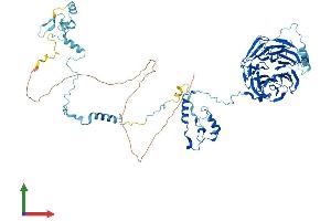 AlphaFold protein structure predicition of Mouse Recombinant Bop1 Protein, UniprotID P97452 (BOP1 Protein (AA 1-732) (His tag))