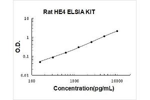 WAP Four-Disulfide Core Domain 2 (WFDC2) ELISA Kit