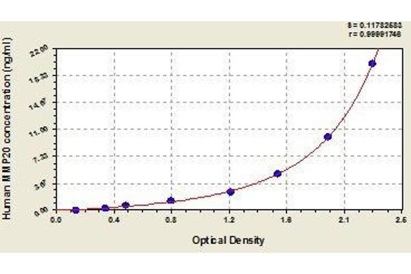 MMP20 ELISA Kit