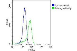 Overlay histogram showing PC-3 cells stained with (ABIN6242582 and ABIN6577145)(green line). (RAB18 antibody  (AA 1-206))