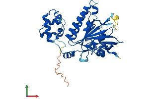 Protein Structure (PS) image for DNA Meiotic Recombinase 1 (DMC1) (AA 1-340) protein (His tag) (ABIN7557744)