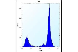 MOBKL1B Antibody (N-term) (ABIN656811 and ABIN2846025) flow cytometric analysis of 293 cells (right histogram) compared to a negative control cell (left histogram). (MOB1A antibody  (N-Term))