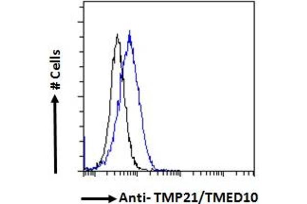 TMED10 antibody  (C-Term)