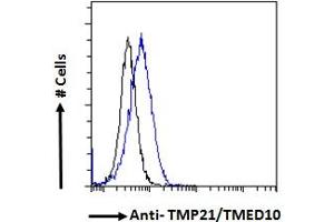 ABIN190858 Flow cytometric analysis of paraformaldehyde fixed HeLa cells (blue line), permeabilized with 0. (TMED10 antibody  (C-Term))